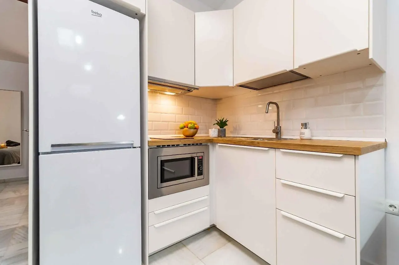 Atico Premium - Malaga City Center Apartment