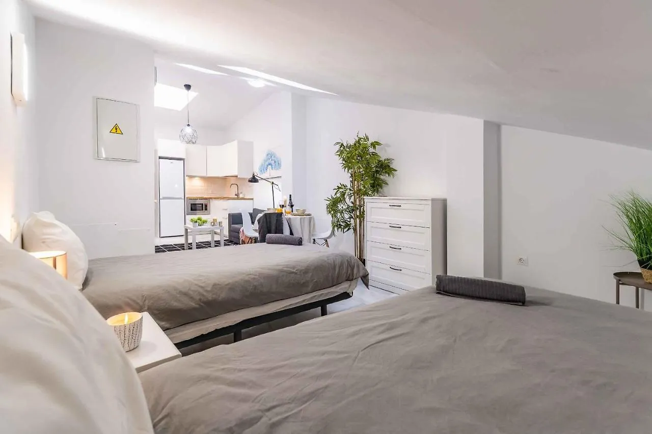 Atico Premium - Malaga City Center Spain